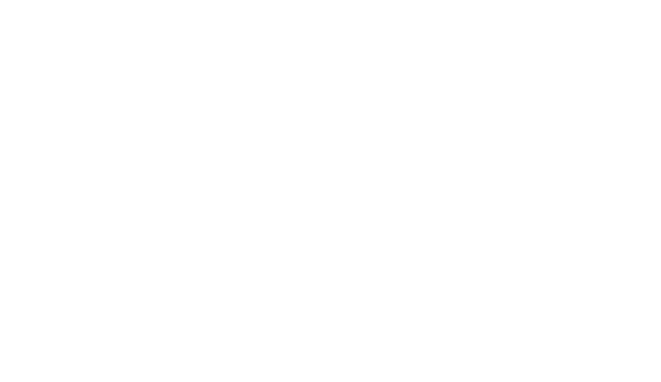 Arctic IT Government Solutions White Logo