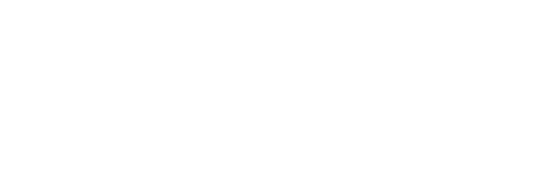 Arctic IT White Logo